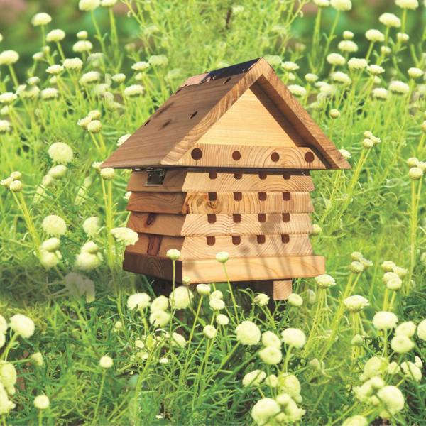 Interactive Solitary Bee Hive with Viewing Lid – Wooden Bee Hotel for Garden Pollinators