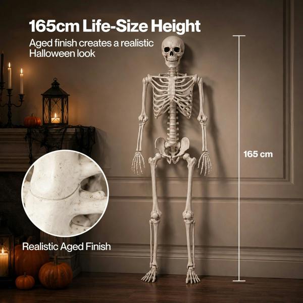 Yezi Halloween Skeleton Life Size Posable Jointed Decoration Haunted House White