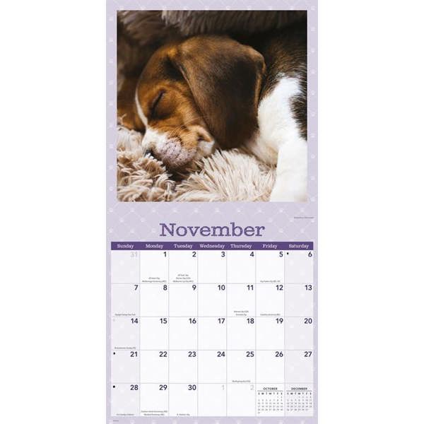Dog Naps Calendar 2027, Wall Calendars, Month To View, Dogs, Gift