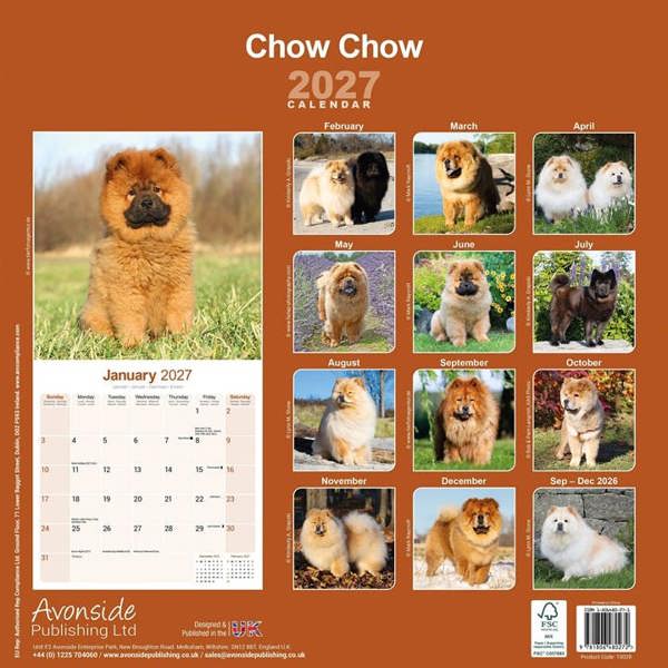 Chow Chow Calendar 2027, Wall Calendars, Month To View, Dogs, Gift