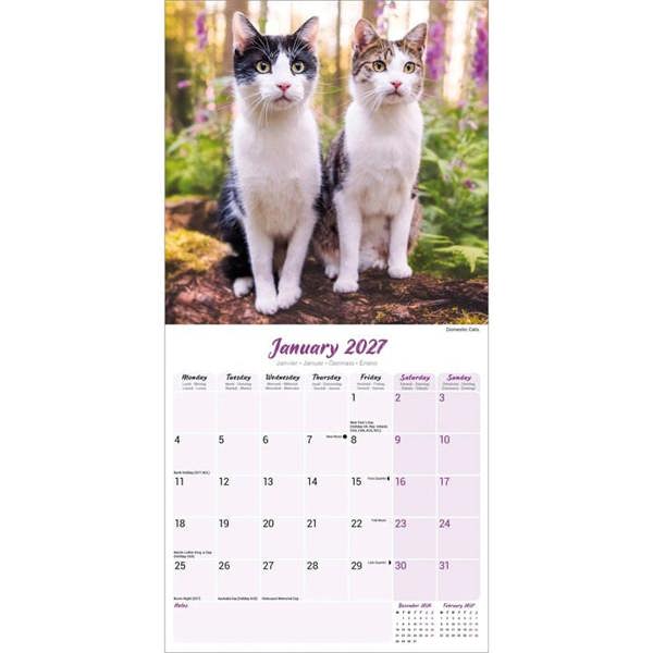 Cats Calendar 2027, Wall Calendars, Month To View, Cats, Gift