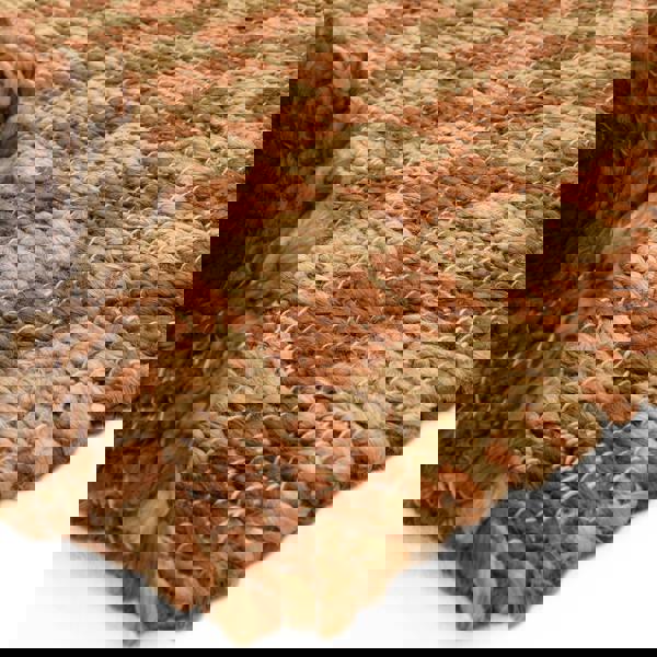 Asiatic Naturi Rust Jute Rug