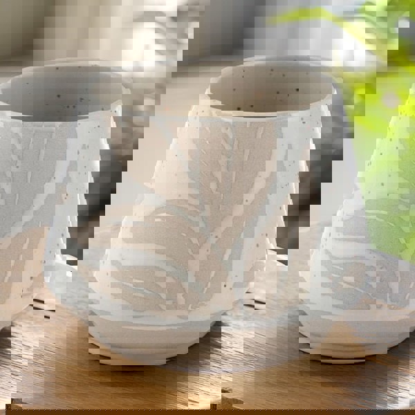 Hesperantha Detail Plant Pot
