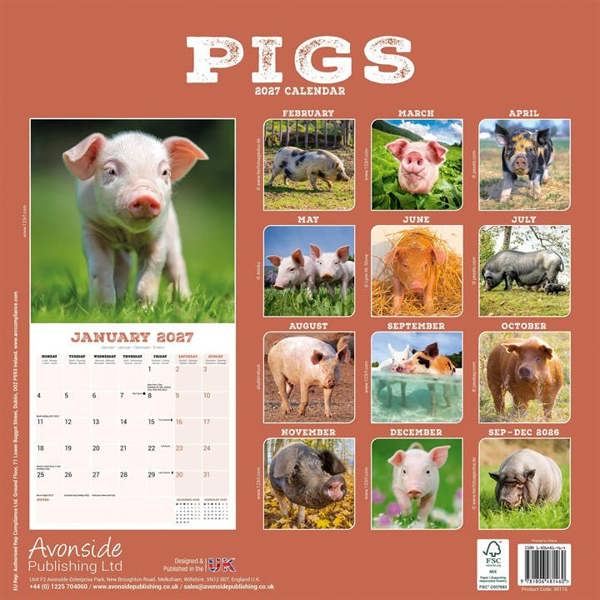 Pigs Calendar 2027, Wall Calendars, Month To View, Animals, Gift