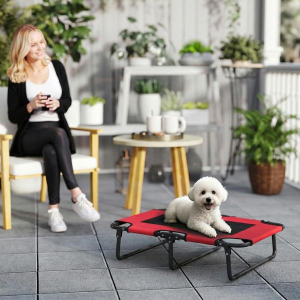 Elevated Dog Bed