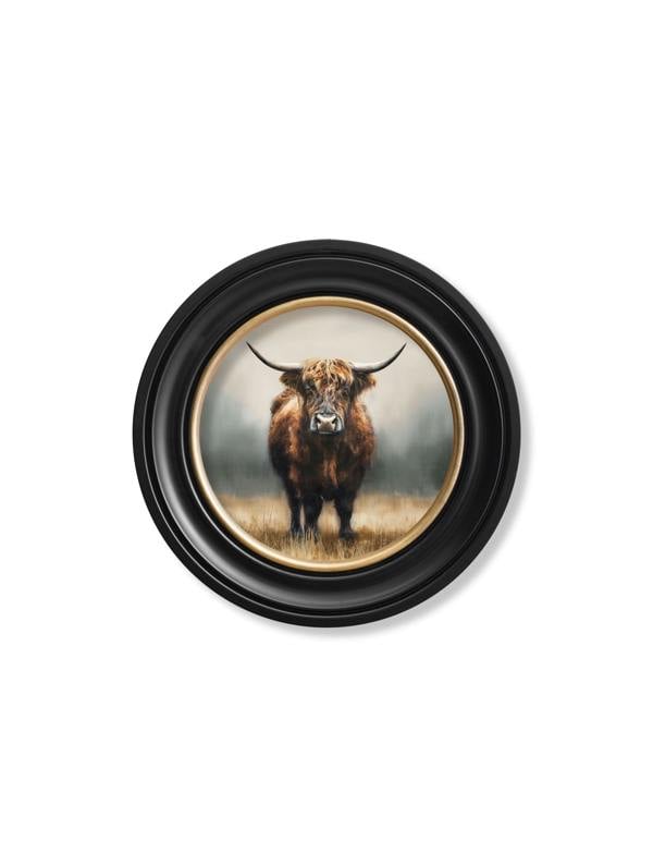 Exceptional Art Highland Cow - Oxford round frame