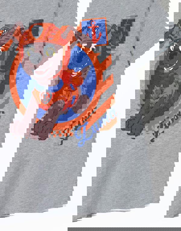 Paw Patrol Boys Grey Zuma Short Sleeved T-Shirt