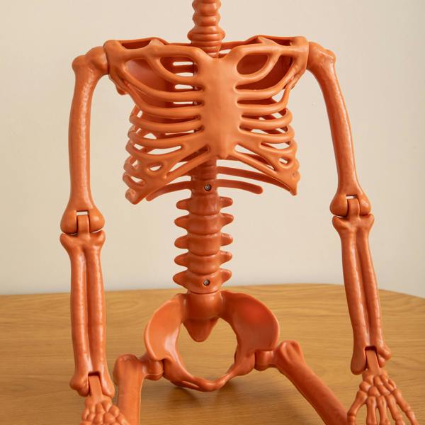 Samuel Alexander 90cm Poseable Pumpkin Skeleton Hanging Halloween Decoration