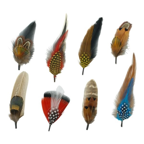 Gamble & Gunn Feather Mounts - Collection of 8 (Pack B)