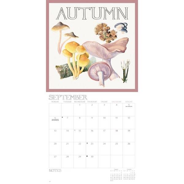 Edith Holden, A Country Diary Calendar 2027, Wall Calendars, Month To View, Art, Gift
