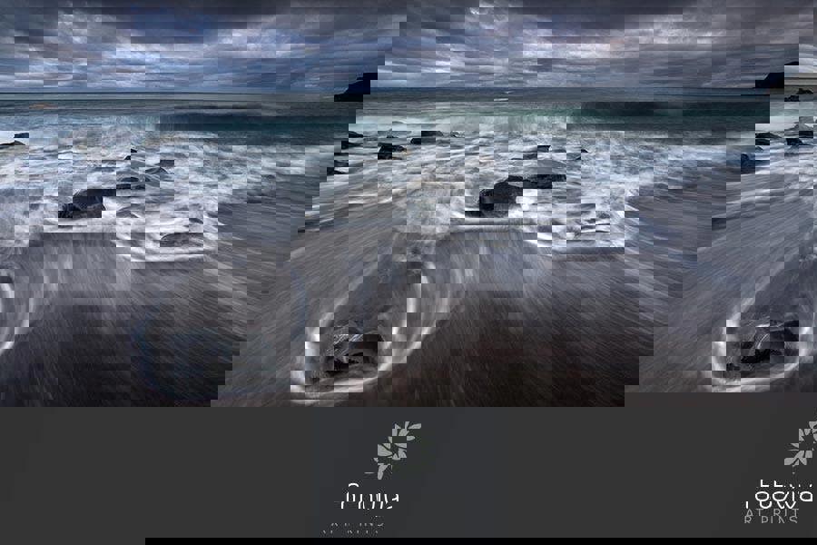 Fernlight Gallery Blueberry Beach