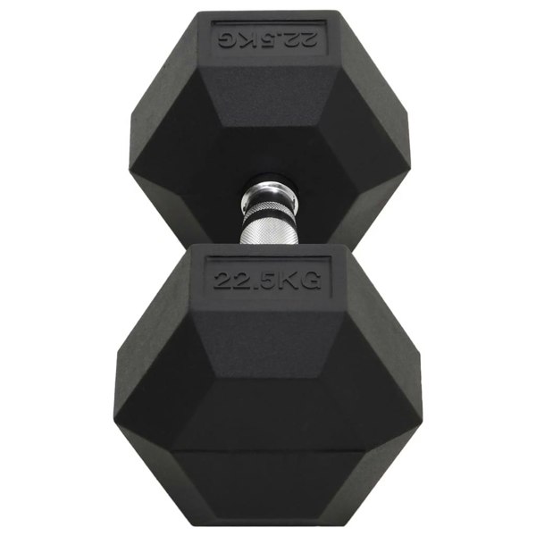 Berkfield Dumbbell 22.5 kg Cast Iron