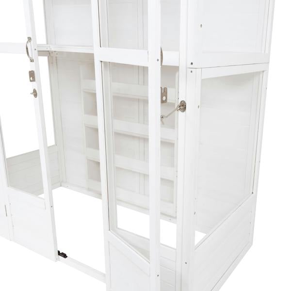 Victorian-style white greenhouse with wooden frame, glass panels, and interior shelves for plant display and organization