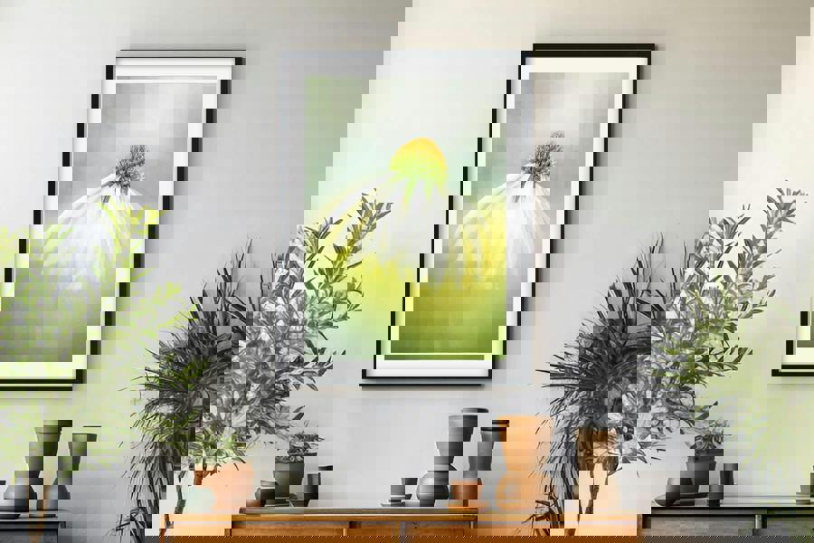 echinacea coneflower wall art print