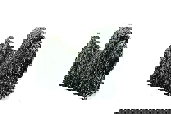 Dougal Skye Terrier Stone Cast Dog Ornament