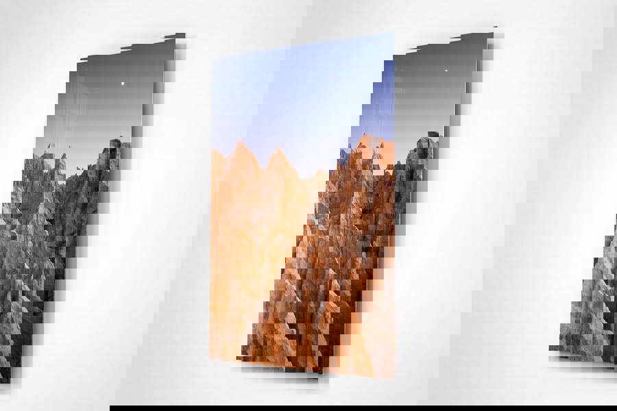 fine art acrylic print