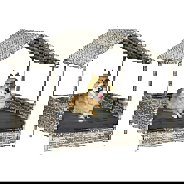D02-029V70CG
