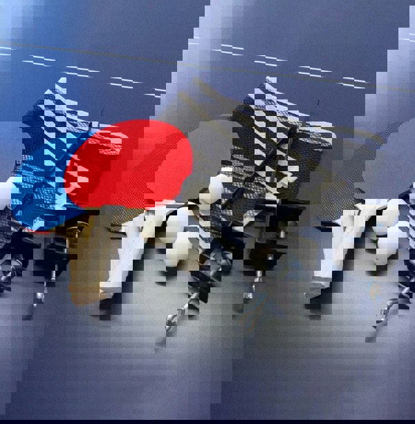 Monstershop Folding Table Tennis Table