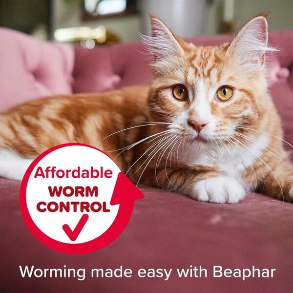 Beaphar WORMclear for Cats and Kittens (2 Tablets)