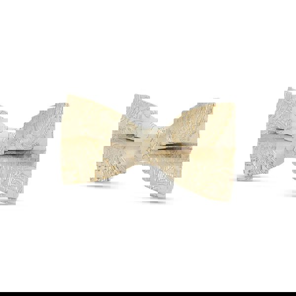 Paul Andrew Boys Paisley Floral Satin Bow Tie