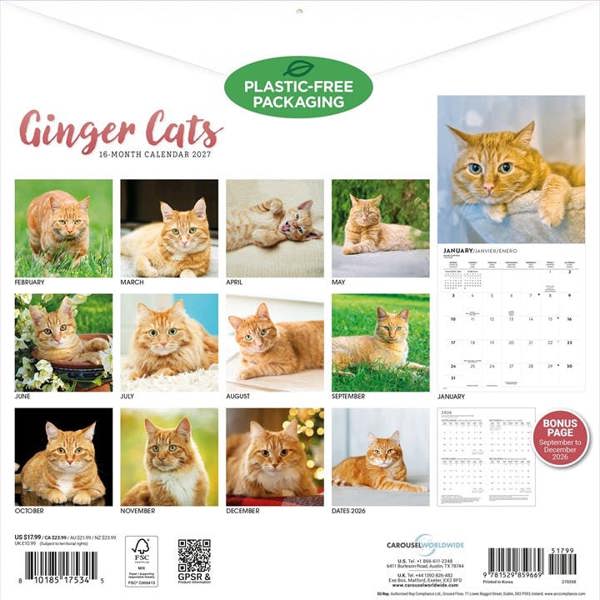 Ginger Cats Calendar 2027, Wall Calendars, Month To View, Cats, Gift