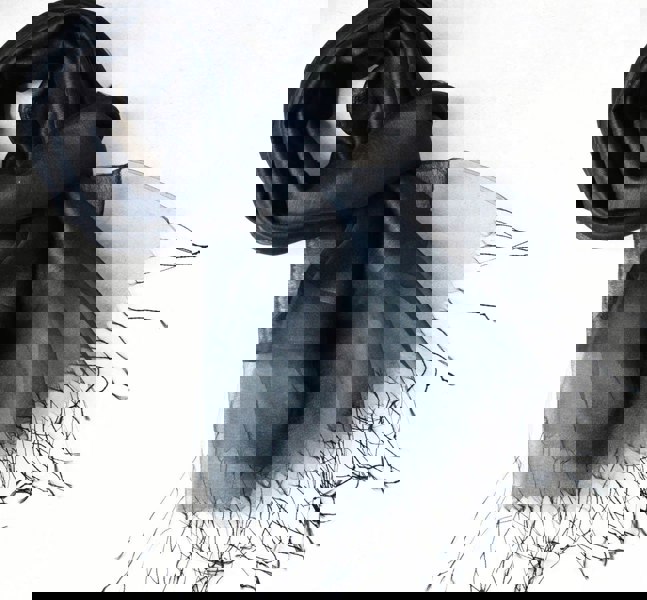 Antonia York Sophia Black Organza and Crepe Double Layered Silk/Viscose Tasselled Special Occasion Wrap