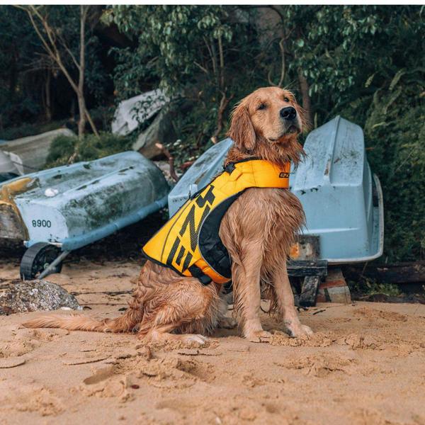 EzyDog DFD X2 Boost Dog Life Jacket in Yellow