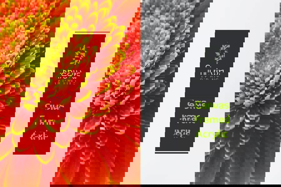 Fernlight Gallery Gerbera Delight