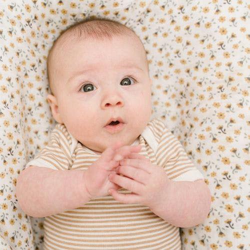 Lulujo - Cotton Swaddle - Vintage Floral & Dragonfly - 2 Pack