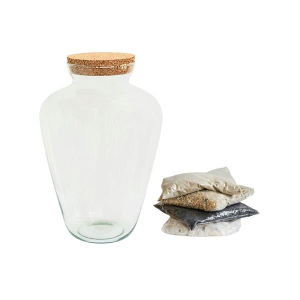 Ivyline Teardrop Glass Lid Terrarium