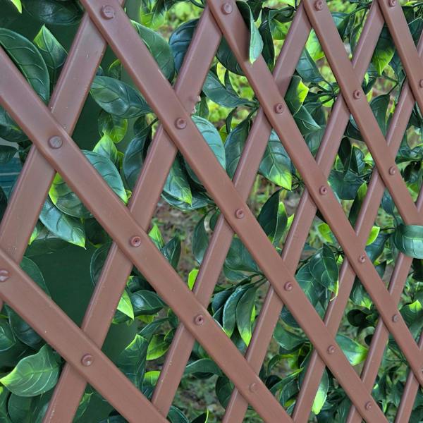 Premium Expanding Trellis Artificial Gardenia Leaf - 1m x 2m