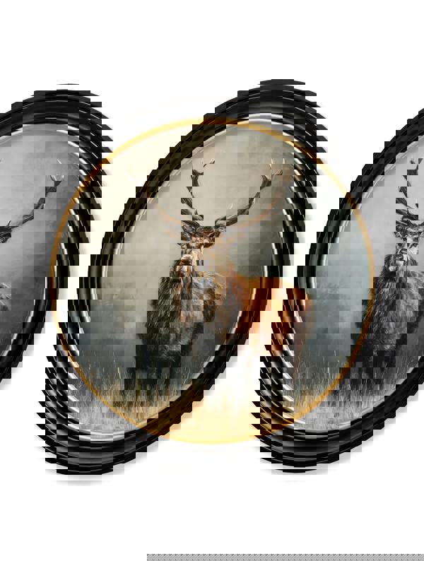 Exceptional Art Highland Stag - Oxford round frame