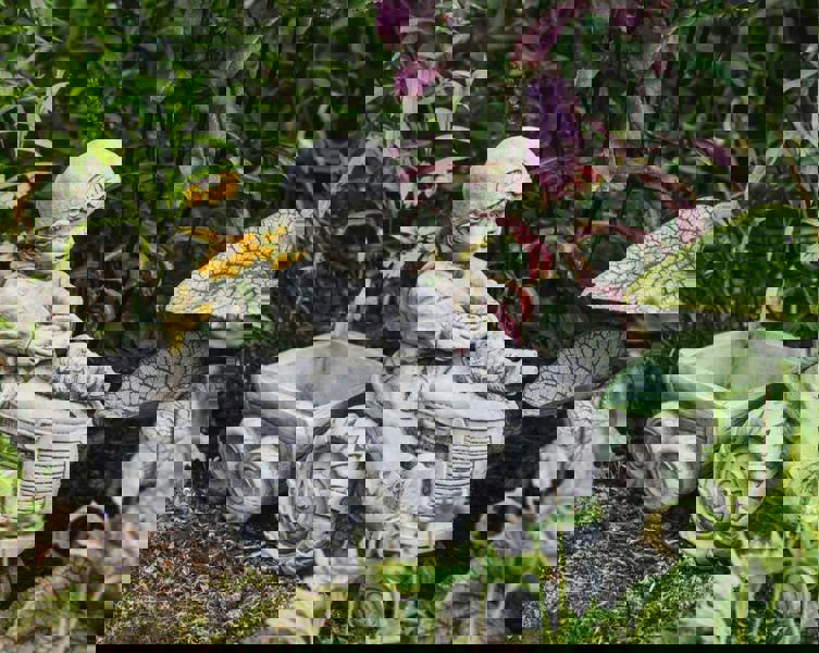 Boy on Tractor with Small Planter Trailer