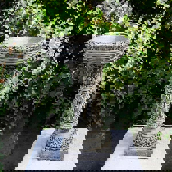 Patrician Bird Bath Elegant Stone cast Bird Bath Bird feeder