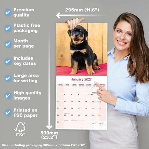 Rottweiler Puppies Calendar 2027, Wall Calendars, Month To View, Dogs, Gift