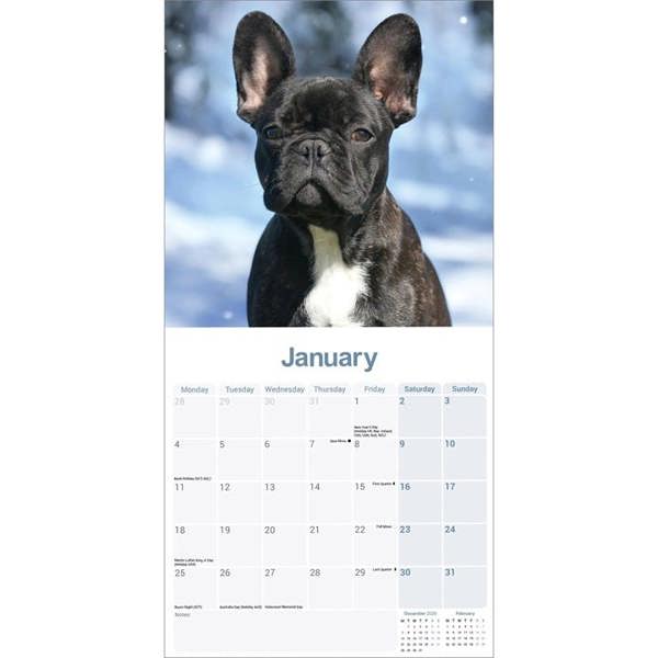 French Bulldog Calendar 2027, Wall Calendars, Month To View, Dogs, Gift