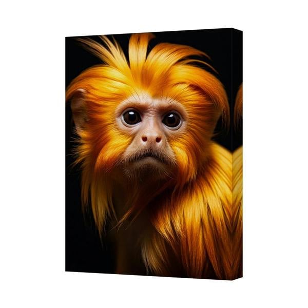 Benjamin Tate Design Golden Lion Tamarin Canvas Wall Art Portrait Print