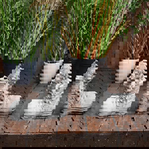 Super cute Pair of Stone cast Cat and Dog in Shoes