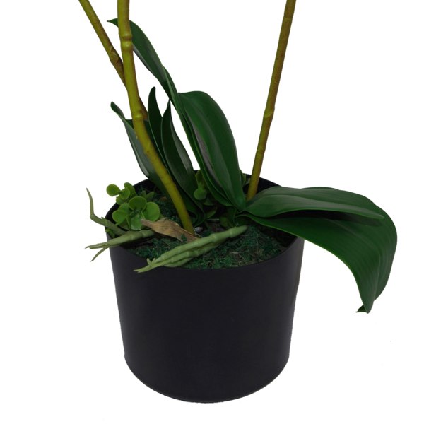 Leaf 65cm Artificial Luxury Artificial Orchid - 3 Stems - Soft White Plant