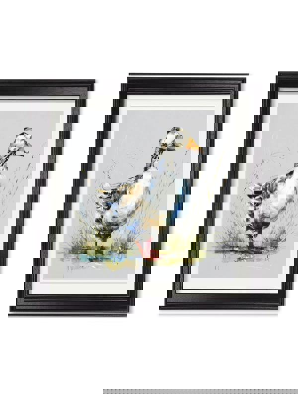Exceptional Art White Goose Cosy Sketch - Black Hurstwood square frame