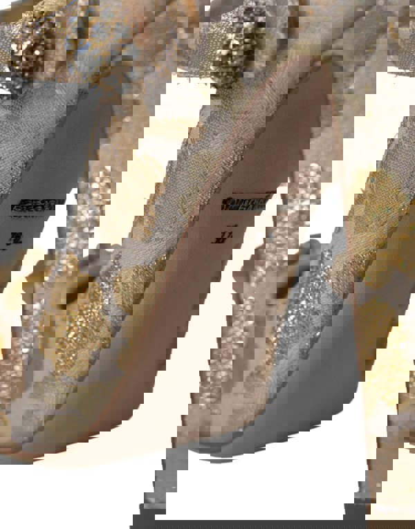 177009649.jpg