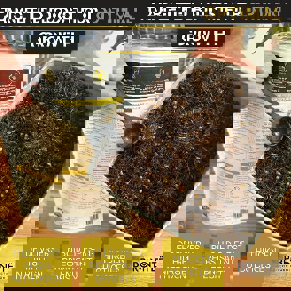 Bronte Heritage Buxus Feed – Controlled-release granules for box hedges & topiary in pots, containers, or ground. 120g for lush, green growth