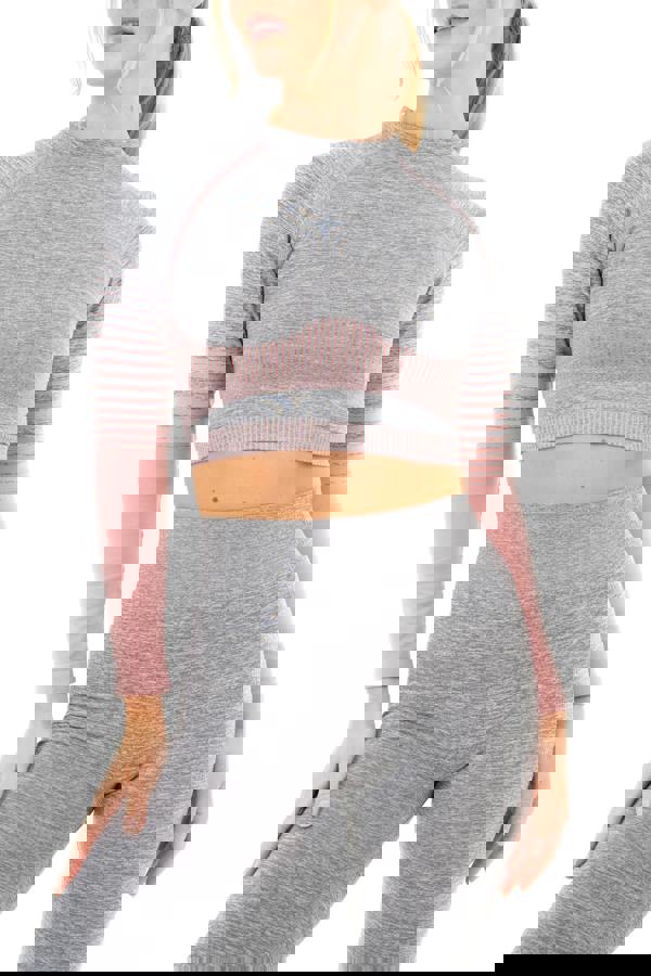 Smart Living Women's Gradient Stripe Seamless Long Sleeve Crop Top - Grey Marl / Pink