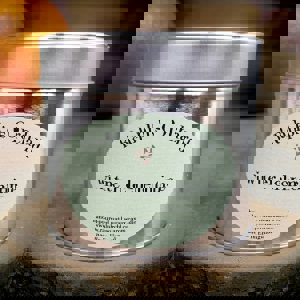 winter clementine scented candle