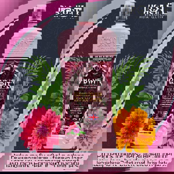 Bronte Heritage Ericaceous Plant Food 1L – Organic, seaweed fertiliser for azalea, camellia & rhododendron, UK made, pet-friendly, boosts growth