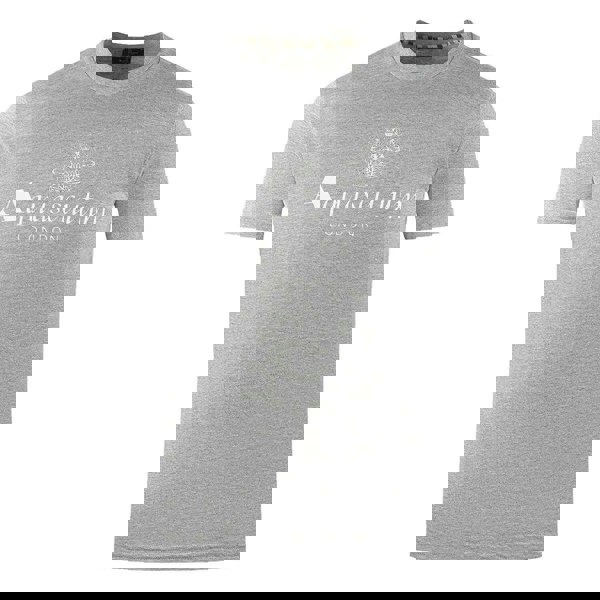 Aquascutum Mens London Aldis Logo T-Shirt - Grey