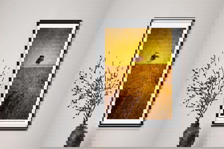 Fernlight Gallery Dawn Solitude