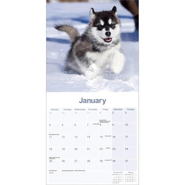 Alaskan Malamute Calendar 2027, Wall Calendars, Month To View, Dogs, Gift