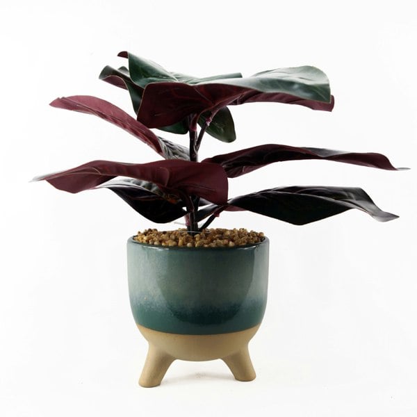 Leaf 35cm Artificial Ficus Plant with Teal Blue Green Ceramic Planter