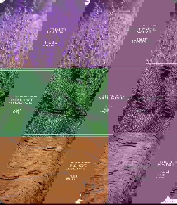 Heart & Home Lavender & Sage - 2 Wick Ellipse Candle